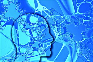 爱游戏官方入口-中国足球不同战术体系试验数据，国足战术风格