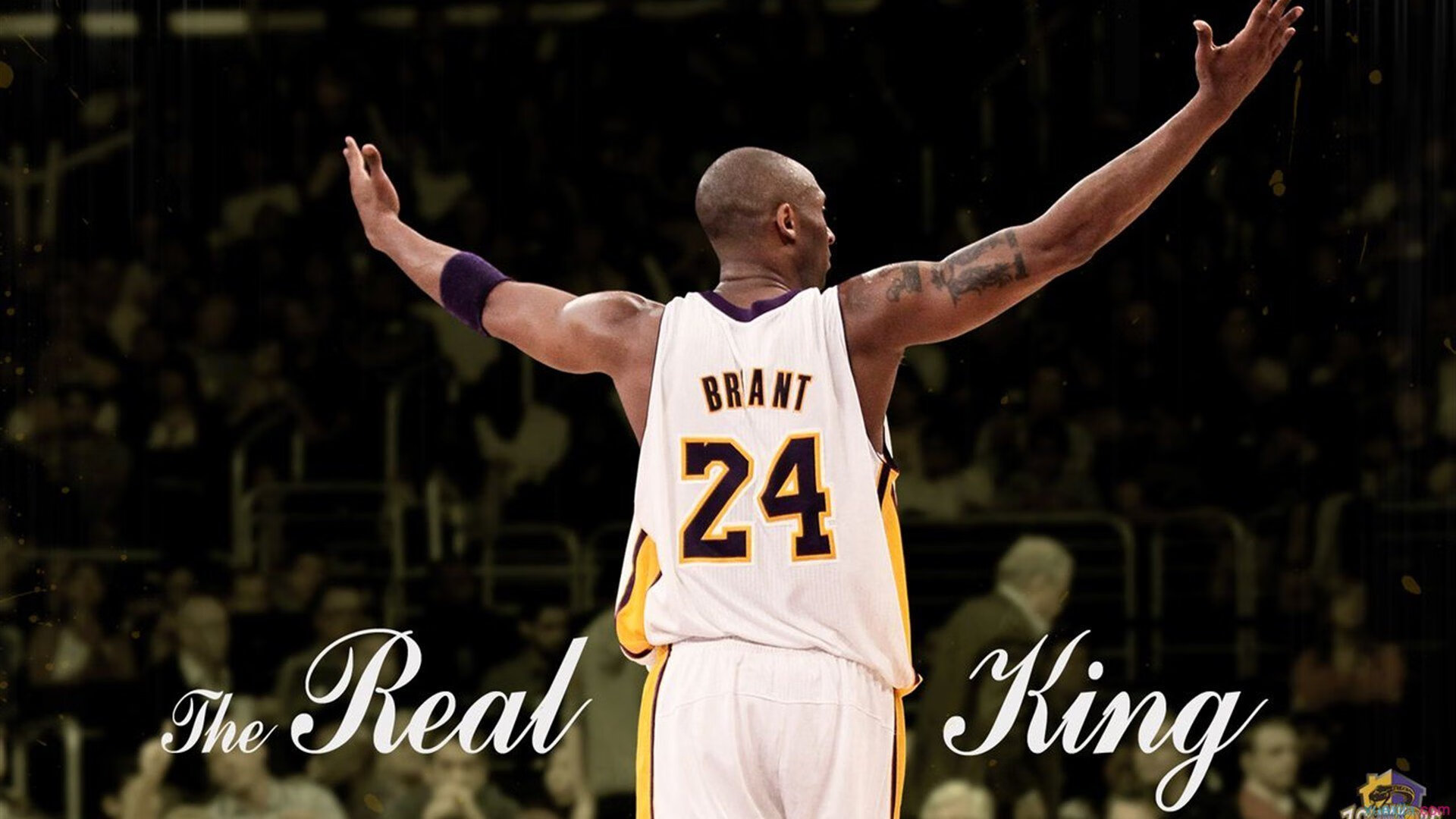 _趣味精致跑：体验城市新风貌_，什么是趣味跑